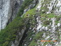 Gosaukamm Überquerung,Klettersteig 61949226