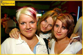 party-pics(alt) 4488056