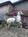 Verena und Dati bei den Ponnys =) 62094803