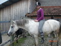 Verena und Dati bei den Ponnys =) 62094856