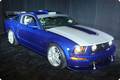 Ford mustang 4491596