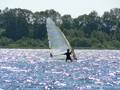 Surfen am WALLERSEE 7093821