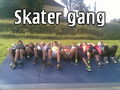 skater park mit den friends 74244671