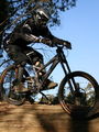 DownHill...FreeRide 74356421