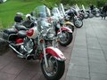 MST Breitau - The family biker 21332456