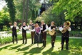 Sturm auf den Schilcher (Weinfest) 76786516