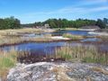 Schäreninsel Ingmarsö bei Stoc 39329133