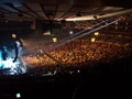 fall out boy @ madison square garden! 30342406