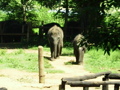 Urlaub Sri Lanka 2007-2008 32270428