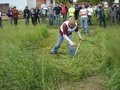 Bezirksmähen 2007 20072452