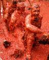 tomatina bunol 30.08.2006 (espana) 6004823