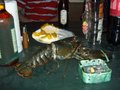 Lobster - Grillfest´06 12218727