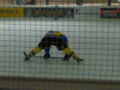 Schatzi Ice Hockey 36238833