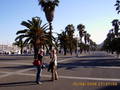 Barcelona 2006 5704113