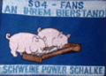  Schalke,Stuttgard, Rapid Wixxer 24240627