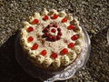 MeI eRsTe ToRtE ( so ane zum essen) 10074334