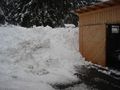Winter 2008 - 2009 .... schneechaos 50159599
