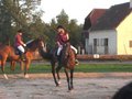 Reitfestival in Mitterkirchen 23792122