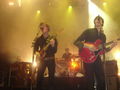 Mando Diao Konzert 56875780