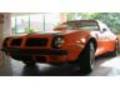 Pontiac Firebird 455 SD 8442398